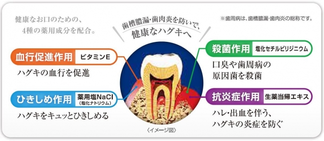 通販オンラインショップ ペリオバスタージェル 4本 歯磨き粉 歯磨剤 歯