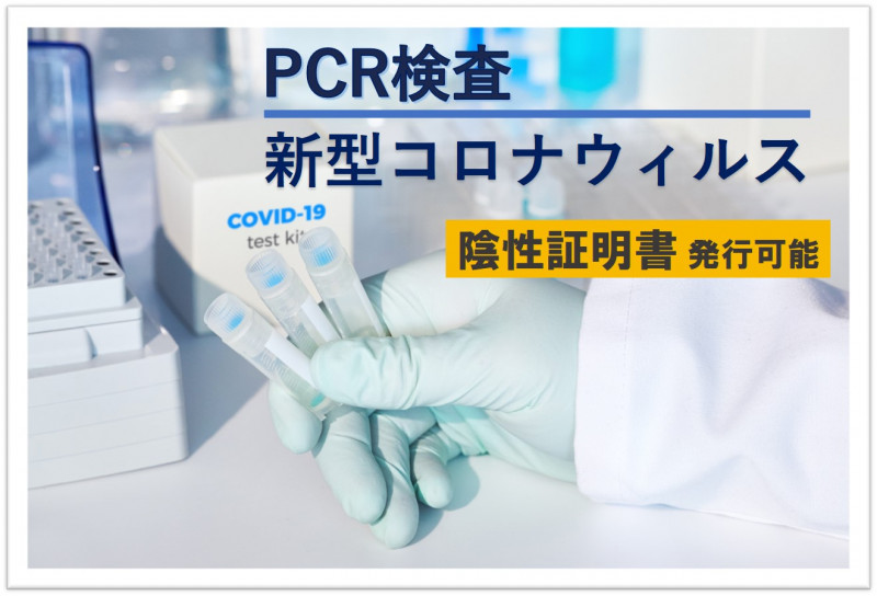 できる 検査 区 板橋 病院 pcr 東京都のコロナウイルスが検査できる病院はどこ？診察までの流れも解説