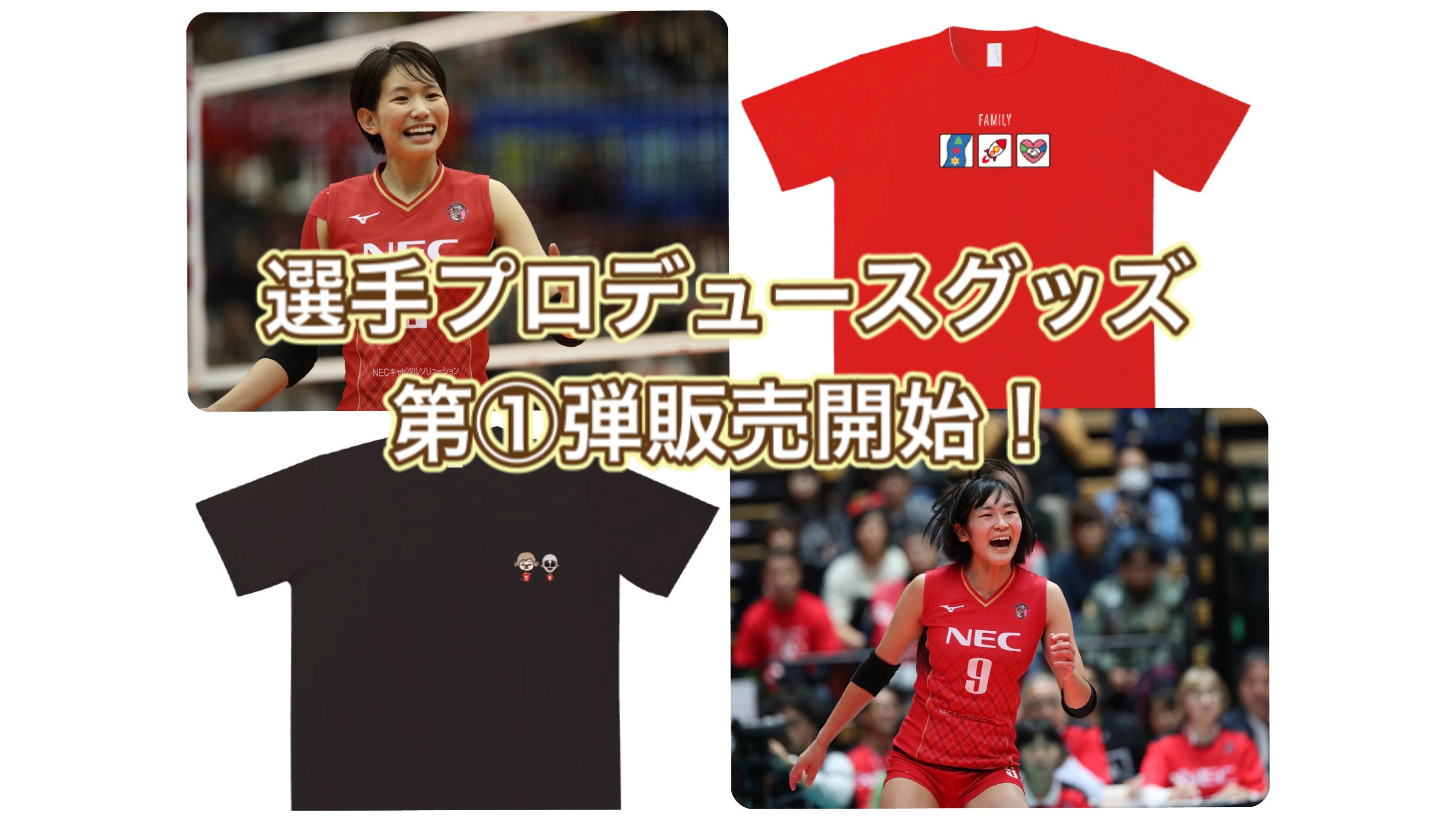 最安値 NEC RED ROCKETS 島村春世選手直筆サイン入りユニフォーム 