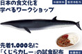 親子で鯨の持続的利⽤や鯨食文化を学ぶ「たべるくじらのがっこう」を横浜みなとみらいで開催