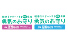 損保 ジャパン 日本 興亜 ひまわり 生命 勇気 の お守り