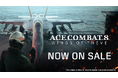 シリーズ最新作『ACE COMBAT 8: WINGS OF THEVE』本日10月2日（金）発売のお知らせ