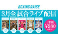 【BOXINGRAISE】月額980円でアーカイブ4,500試合突破。3月後半はWBO-AP＆日本タイトルのダブルタイトルマッチをはじめ、5大会を全試合ライブ配信