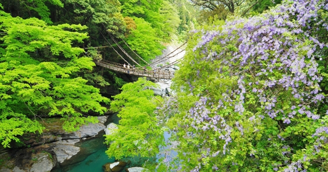 日本三大秘境である祖谷のかずら橋をはじめとする 徳島県三好市内観光施設等の休館について 三好市のプレスリリース
