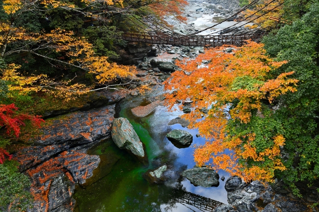 祖谷かずら橋