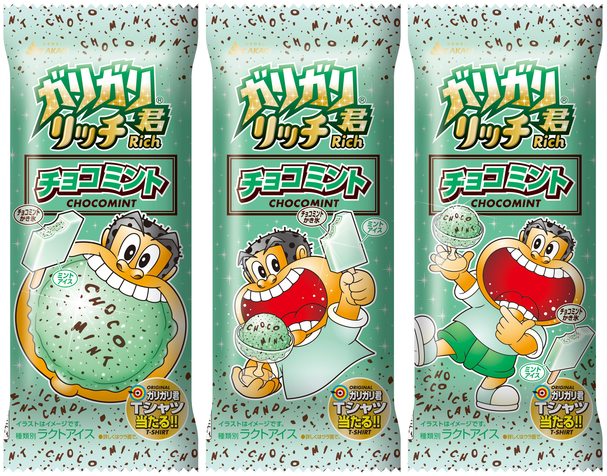 ガリガリ君リッチチョコミント