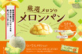 商品開発者が自分で食べたいアイスを作ってもいいですか? 赤城乳業若手開発者の大好きが詰まったアイデアが実現! 「厳選メロンのメロンパン」
