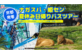 【京都発・夏休み限定】個人手配よりお得！MKトラベルが京都発「ナガシマスパーランド」「姫路セントラルパーク」直行の日帰りバスツアーの予約受付を開始