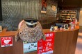 京都水族館『オオサンショウウオの日2026』にMKも参加！155cmのオオサンショウウオぬいぐるみがMKタクシーの“特別臨時職員”として京都駅八条口に着任！