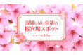 京都の桜、どこが空いている？MKタクシーが穴場スポット30選を公開【2026年版】