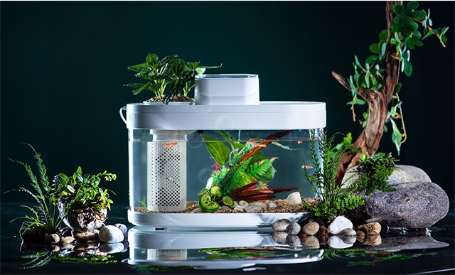 水槽　ライト　ボルクスジャパン wing2 90　フレッシュ Amazon | ボルクスジャパン Wing2 90 Fresh/フレッシュ