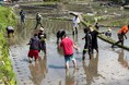 【叡啓大学】学生と留学生が安芸太田町「井仁の棚田」で田植え体験を行いました