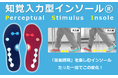 「知覚入力型インソール（PSI）」が第19回ひろしまグッドデザイン賞を受賞
