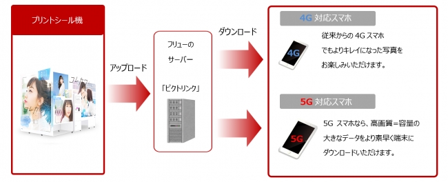 本実証実験の構成図