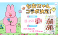 メンタル系イラストレーター“なおにゃん”がプリ機とコラボ！10月1日（木）より全国のプリ機『FLASH(フラッシュ)』にてスタート