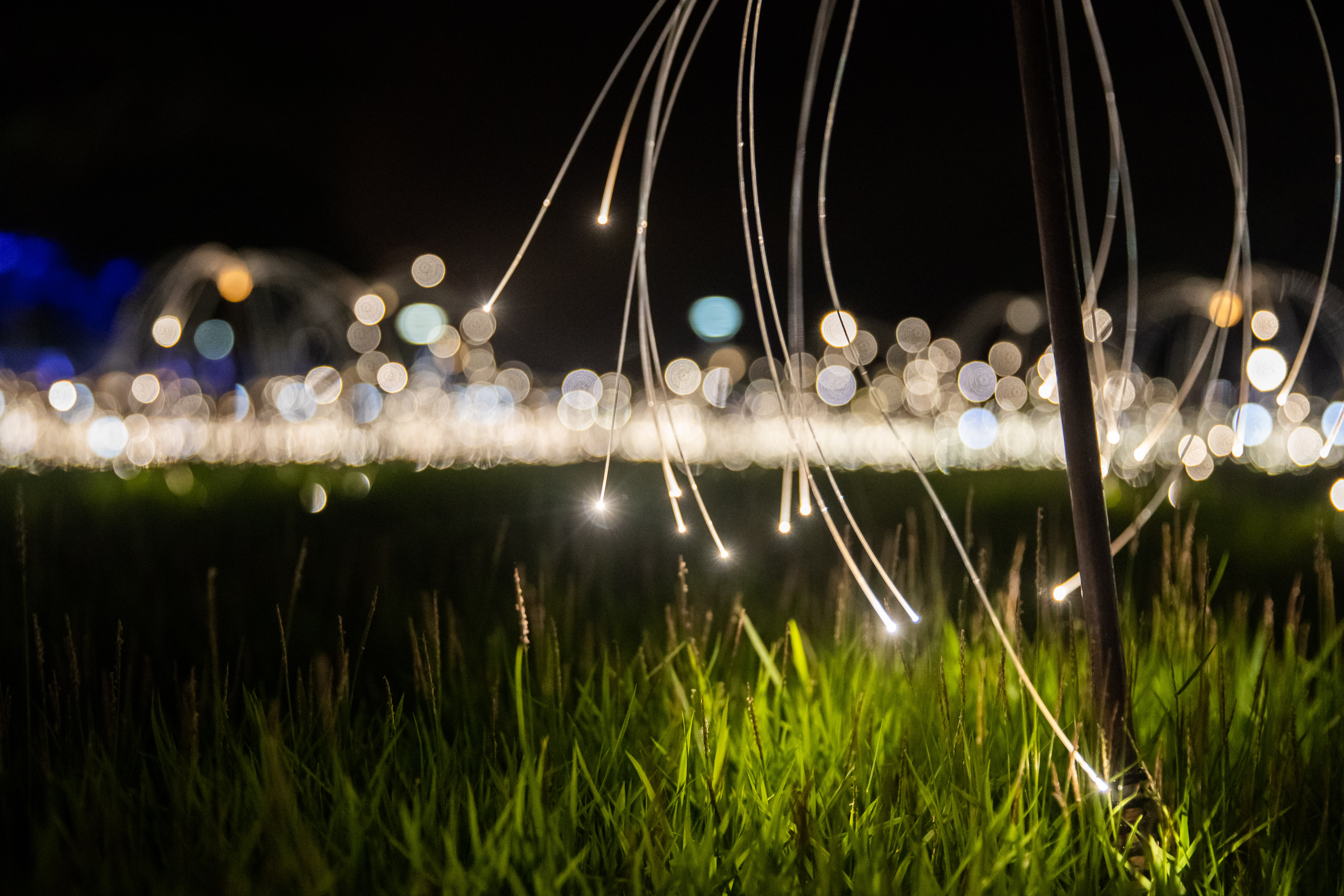 オーストラリア・ダーウィンにて世界初の街を挙げてのエキシビション                      「ブルース・マンロー：トロピカル・ライト」を2020年4月30日まで開催