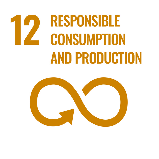 SDGs｜目標12 つくる責任つかう責任