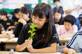 セントマティック「香りの授業」、壱岐市立盈科小学校で初開催