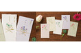 『お花のご祝儀袋』「新柄」と「ぽち袋」を4月7日(月)に新発売 春の新たな門出祝いや日頃の気持ちを伝える場面を華やかな雰囲気に彩る