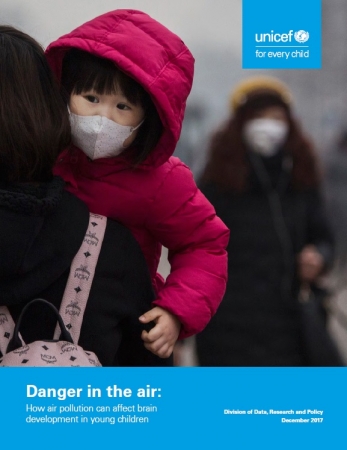 『大気汚染の危険：子どもの脳の発達に及ぼす影響（原題：Danger in the Air How air pollution can affect brain development in young children）』