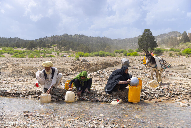 ホースト州の村に流れている川に、祖父母と一緒に水を汲みに行く6歳のヌーバラさん。夏は炎天下でも毎日2時間かけて水を汲みに行き、ロバの背に載せて運んでいる。(アフガニスタン、2023年6月撮影) (C) UNICEF_UNI399211_Bidel