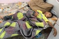 ガザ、栄養不良の子ども急増 5月には5,000人以上が治療を受ける ユニセフ地域事務所代表、状況は「人為的だ」 【プレスリリース】