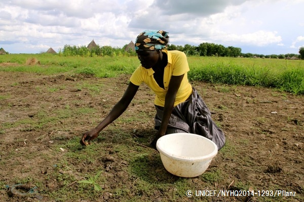 食べ物が手に入らず、野草を収穫する女性© UNICEF_NYHQ_2014-1293_Pflanz
