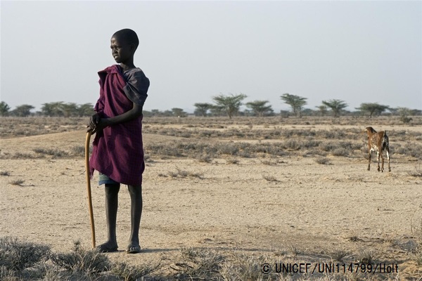 家畜のヤギを世話する男の子。200匹いたヤギも、雨が降らず草が育たなかったため、10匹にまで減ってしまったという。（ケニア、2011年撮影）© UNICEF_UNI114799_Holt