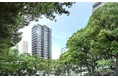 名古屋市初登場※1となる三井不動産レジデンシャル「パークタワー」シリーズ「パークタワー栄」　2026年5月16日（土）よりコンセプトルームの事前案内会を開始