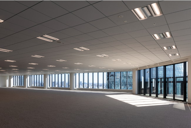 開放的で自然光が入る事務室空間