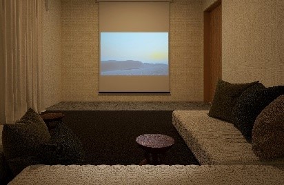 THEATER ROOM