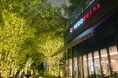 日本橋の新旧の名建築や桜並木が、暖かなウォームイエローの光に美しく輝く「日本橋イルミネーション2023」開催