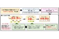コミュニティラボ「+NARU NIHONBASHI」で日本橋への愛着を自発的に生み出す取り組みが加速