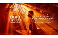 京都府立植物園の幻想的なアートナイトイベント 「LIGHT CYCLES KYOTO(ライトサイクル キョウト)」 開催決定 2025年5月24日(土)開演
