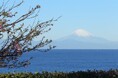 京急電鉄×三井不動産 三浦半島油壺エリアにおけるリゾートホテル事業計画検討に関する協定締結について
