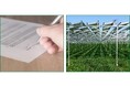 認定農業法人つなぐファーム、営農型太陽光発電に関する報告書作成サービスを開始