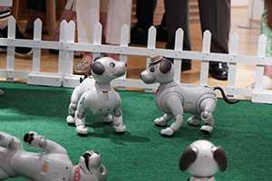 関西初 犬型ロボット Aibo がいっぱい Aibo オーナーも そうでない方も楽しめるイベントが大阪 梅田で開催 阪急阪神ホールディングス株式会社のプレスリリース