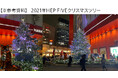 日本国内では希少な事例となる、生木のクリスマスツリーの再利用! HEP FIVEが贈る新しい“国内循環型クリスマス”