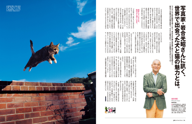 猫はなぜ妖怪になった から 写真家 岩合光昭さんに訊く犬と猫の魅力 まで 犬と猫 がわかる大特集 阪急阪神ホールディングス株式会社のプレスリリース