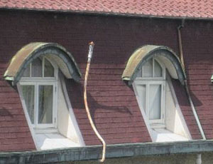 ドーマー窓と半円形屋根