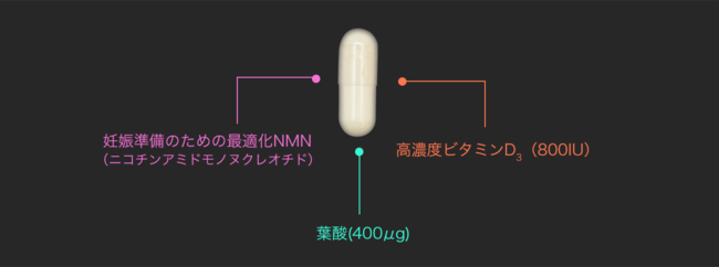 NMN（ニコチンアミドモノヌクレオチド）、高濃度ビタミンD3（800IU）、葉酸（400μg）