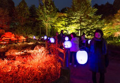 髙橋匡太 「Glow with Night Garden Project in Rokko  提灯行列ランドスケープ」 2016年