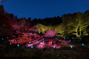髙橋匡太「Glow with Night Garden Project in Rokko  提灯行列ランドスケープ」　六甲高山植物園