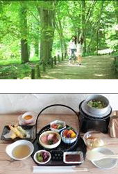 (上から)六甲高山植物園 樹林区、特別ランチ“山菜釜飯と籠盛御膳”