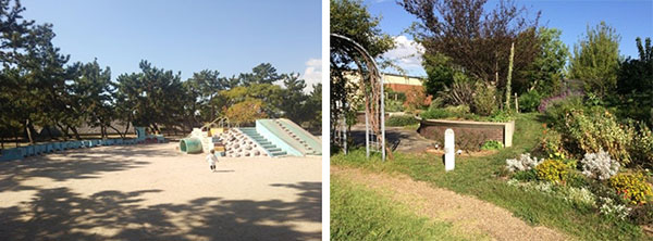 (左から)浜甲子園運動公園（西宮市）、芦屋市総合公園（芦屋市）