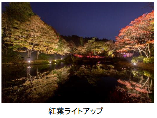 一足早い紅葉のライトアップと夜間限定公開のアートを楽しむ 六甲高山植物園 夜の紅葉散策 ザ ナイトミュージアム 10月16日 土 11月23日 火 祝 同時開催 阪神電気鉄道株式会社のプレスリリース