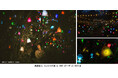 光のアート作品が夜の六甲山を彩る！ 「ひかりの森～夜の芸術散歩～」を9月21日（土）より開催
