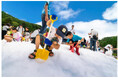六甲高山植物園 「真夏の雪あそび」 開催!
