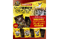 「1年間ありがとう！リーグ優勝記念グルメフェア」を 11月23日（日・祝）開催！ ～監督・選手コラボグルメ、レジェンズコラボグルメを食べて、 優勝記念クリアファイルをGETしよう！～
