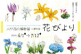六甲高山植物園×暦生活 『花びより』開催決定 2026年4月1日(水)～7月12日(日)